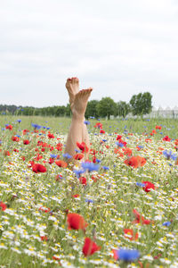 Female legs stick out from the field of multicolored flowers, explosion of color