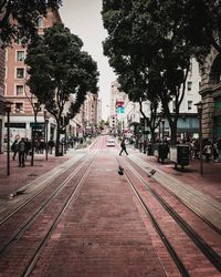 Street amidst trees and buildings in city