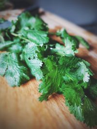 Close-up of leaf on table