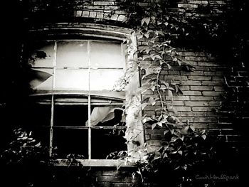 View of residential buildings