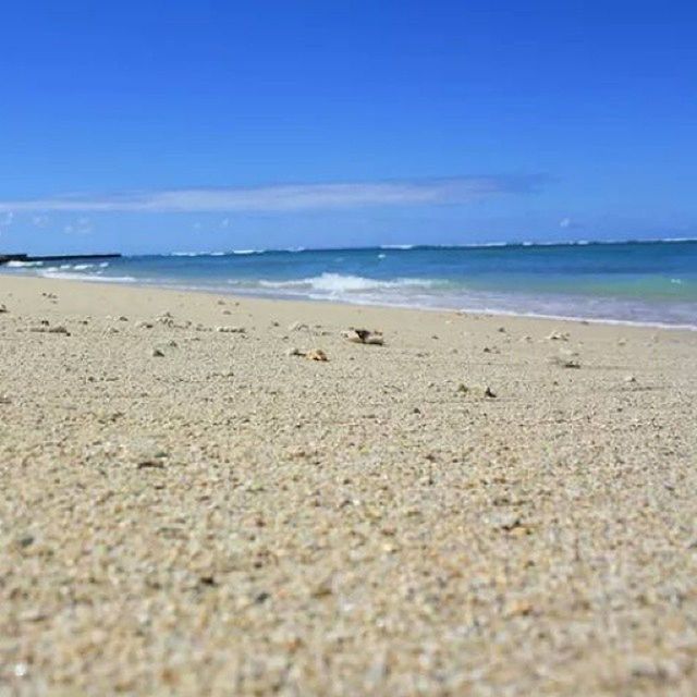 beach, sea, water, sand, shore, horizon over water, tranquility, blue, tranquil scene, scenics, sky, nature, beauty in nature, surface level, coastline, idyllic, clear sky, day, calm, outdoors