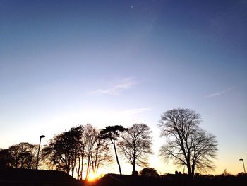 Low angle view of silhouette trees against sky at sunset