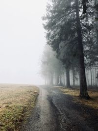 Road amidst trees against sky