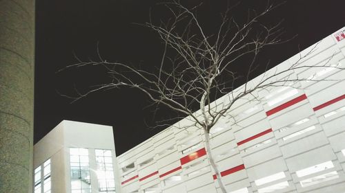 Low angle view of tree against sky