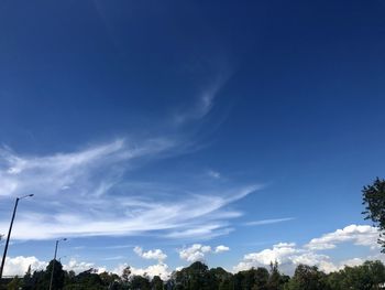 Low angle view of trees against blue sky
