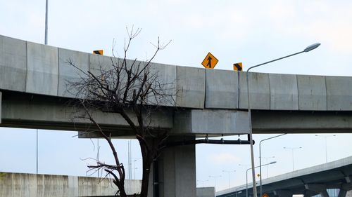 Low angle view of street light by building against sky