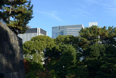 Low angle view of trees and buildings against sky