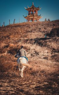 Rear view of man riding horse on ground