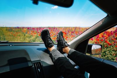 Low section of woman traveling in car against colorful field in summer