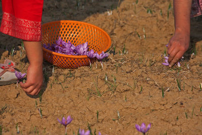 Low section of woman standing amidst plants