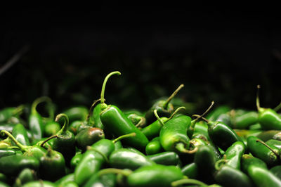 Green chili peppers chile serrano, sierra chili in tapachula, chiapas, mexico.