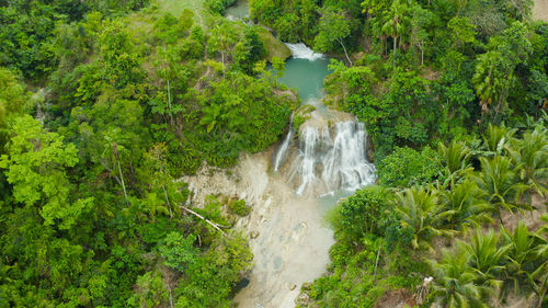 Jungle waterfall in a tropical forest surrounded by green vegetation. mantayupan falls