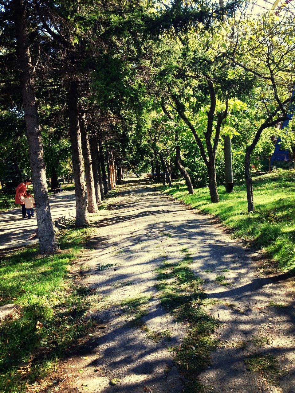 tree, the way forward, diminishing perspective, tranquility, vanishing point, dirt road, growth, footpath, tranquil scene, treelined, tree trunk, nature, green color, beauty in nature, grass, pathway, forest, landscape, road, scenics