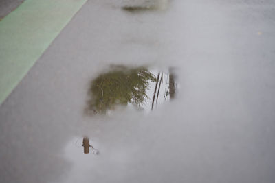 High angle view of person walking on snow covered land