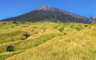 Scenic view of landscape against clear blue sky