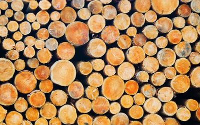 Full frame shot of logs in forest