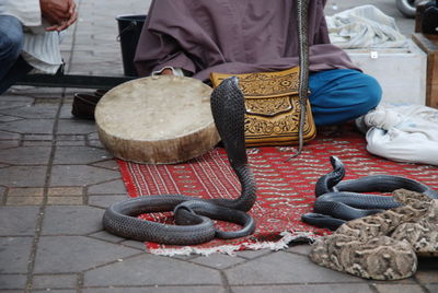 Low section of man sitting outdoors