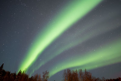 Scenic view of starry sky at night