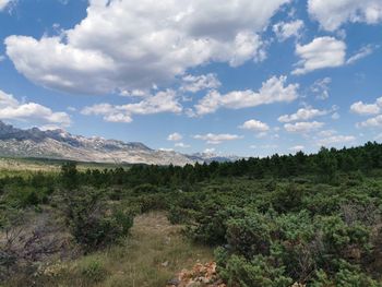 Scenic view of landscape against sky