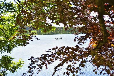 Scenic view of lake against trees