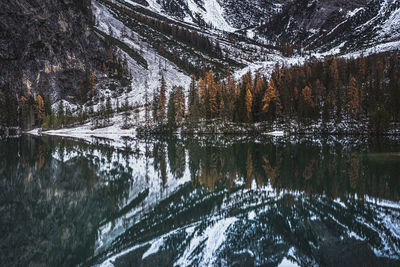 Reflection of trees in lake during winter