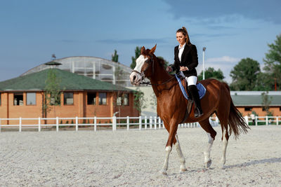 Horse standing on field against sky