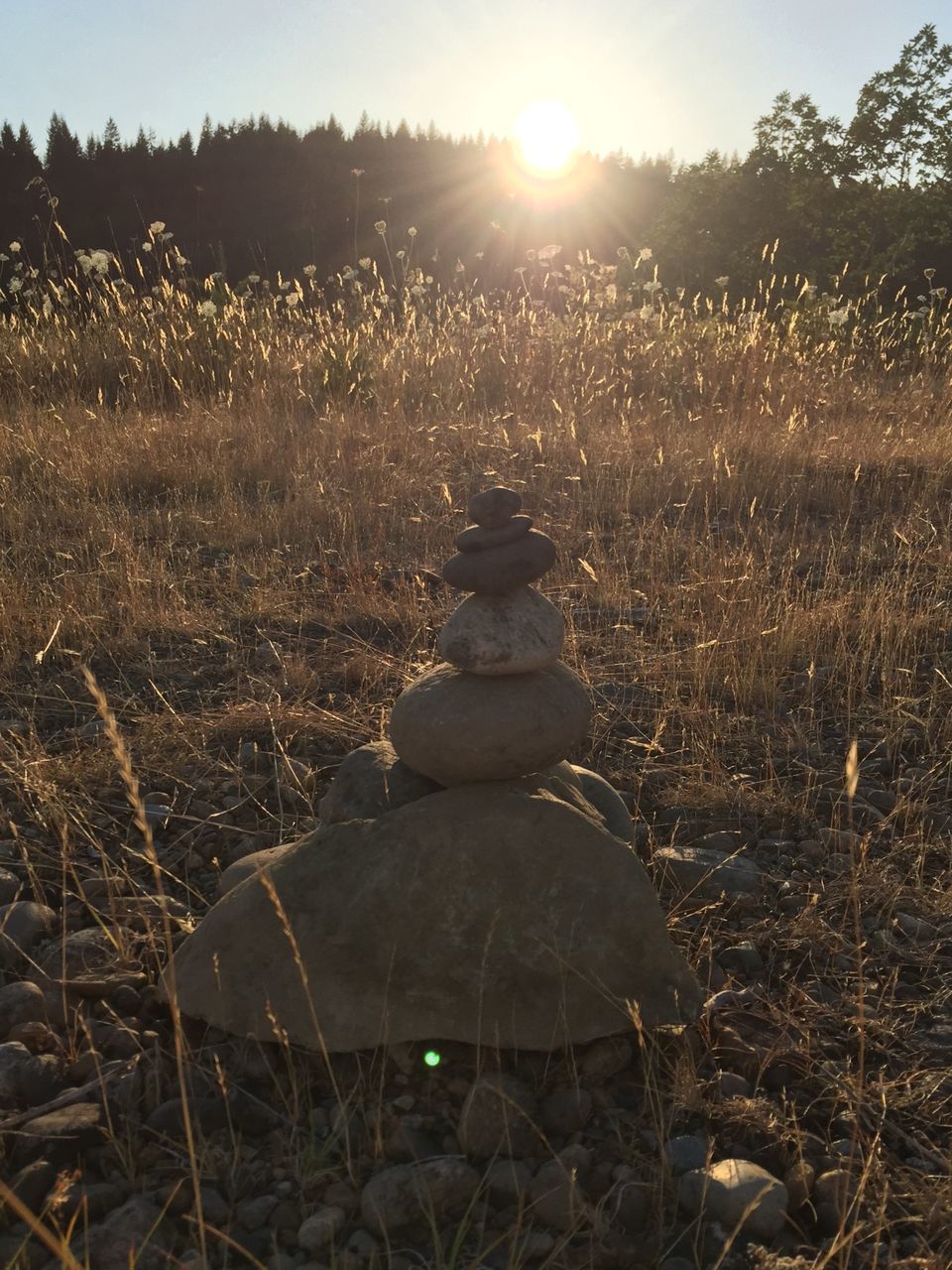 sun, sunlight, tranquility, nature, field, sunbeam, lens flare, grass, water, tranquil scene, stone - object, close-up, outdoors, beauty in nature, no people, day, sky, landscape, fungus, scenics