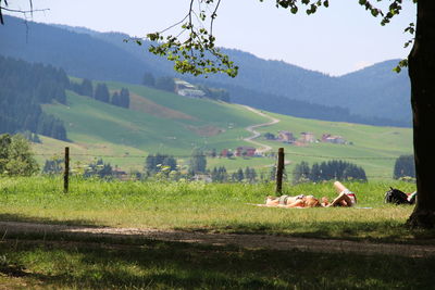Scenic view of field against sky
