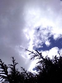 Low angle view of bare tree against cloudy sky