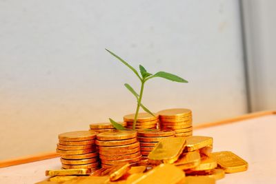 finance