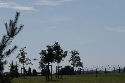 Panoramic view of trees on landscape against sky