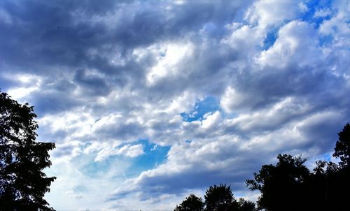 Low angle view of trees against cloudy sky