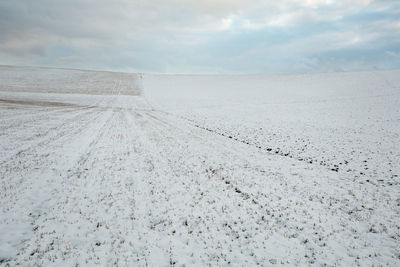 Winter fields of northern slovakia.