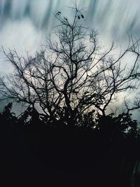 Low angle view of bare trees against sky