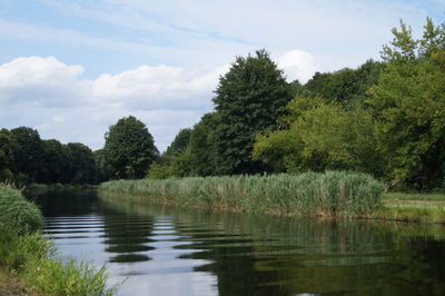 Scenic view of lake by trees against sky