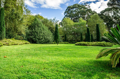 Trees on field in park against sky