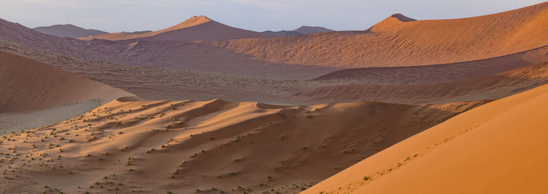 Sand dune in desert against sky