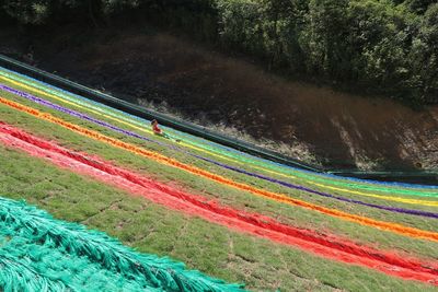 High angle view of multi colored trees on land