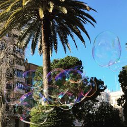 Low angle view of bubbles against sky