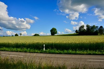 Scenic view of field against sky