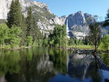 Scenic view of lake by trees against clear sky