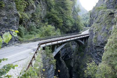 Bridge over river amidst trees