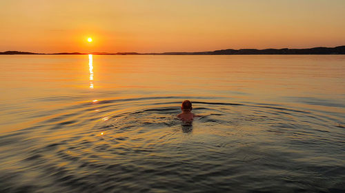 Rear view of person swimming in sea during sunset