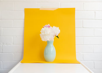 Close-up of yellow flower on white wall