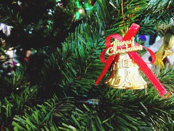 Illuminated christmas tree at night