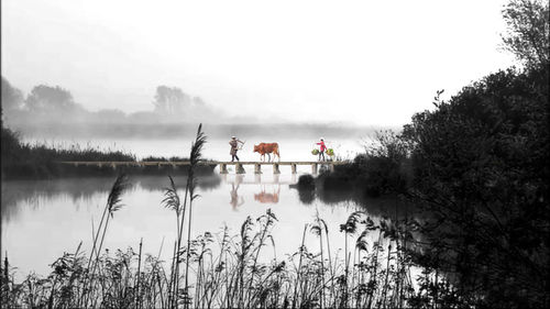 Scenic view of lake against sky
