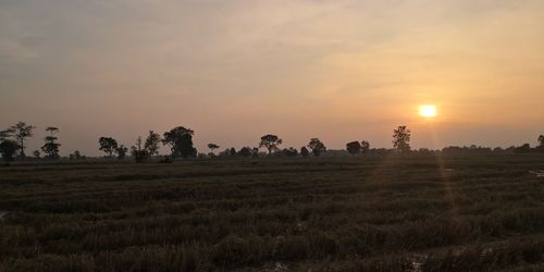 Scenic view of field against sky during sunset