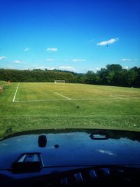 Trees on field against blue sky