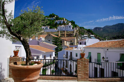 Houses against sky