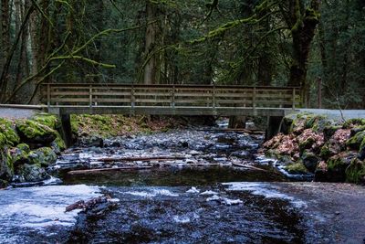 Water flowing in park